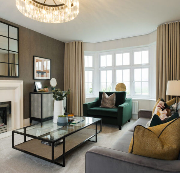 How to Choose the Best Interior Painting Melbourne Experts for Your Home