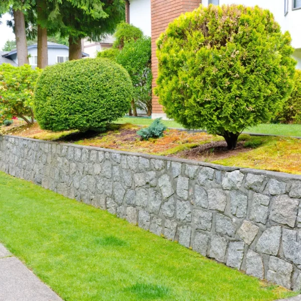 Why Your Backyard Deserves a Professional Hardscaping Upgrade