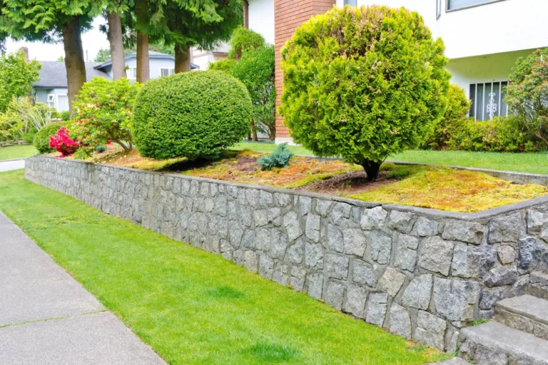 Hardscaping Upgrade
